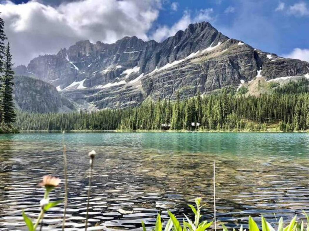 Falcon Crest Lodge 1 Bedroom Condo With Gym & Hot-Tubs & Mountain View Canmore Zewnętrze zdjęcie
